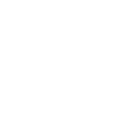 RKS RICKY   リクスリッキー